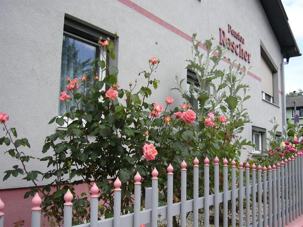 Pension Sonnenschein Sankt Kanzian am Klopeiner See Buitenkant foto